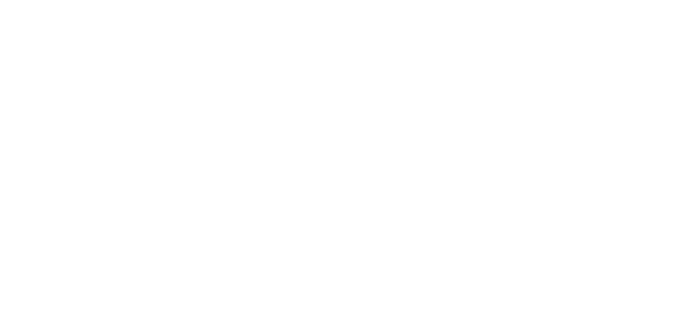 Woven DANUBE Logo