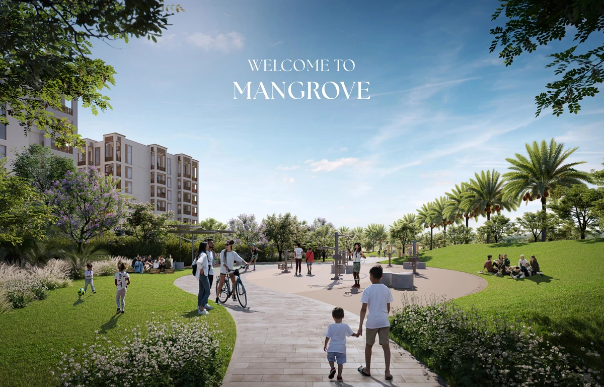 Mangrove cover
